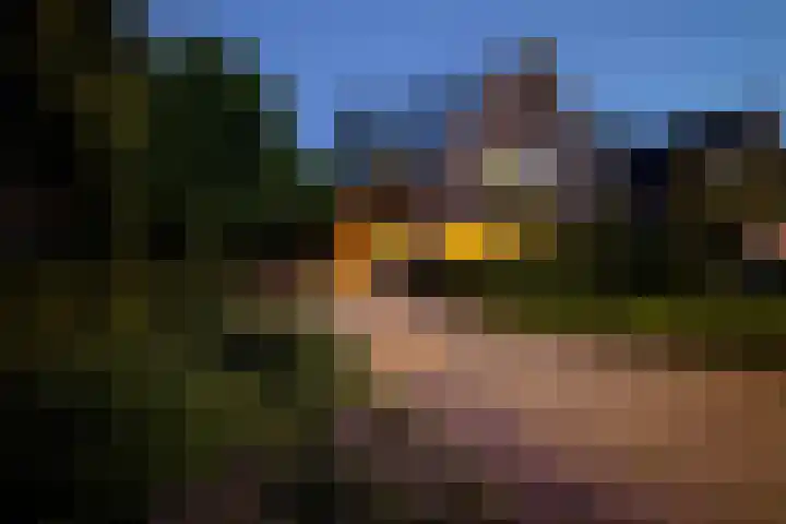 Achterlandseweg 1 Apeldoorn thumbnail 60