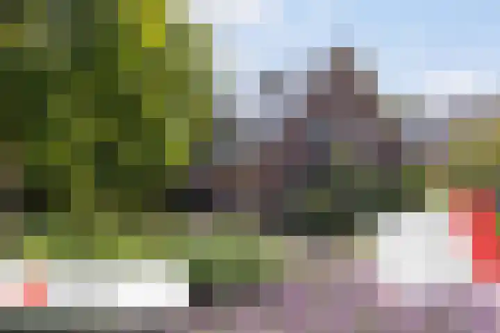 Achterlandseweg 1 Apeldoorn thumbnail 61
