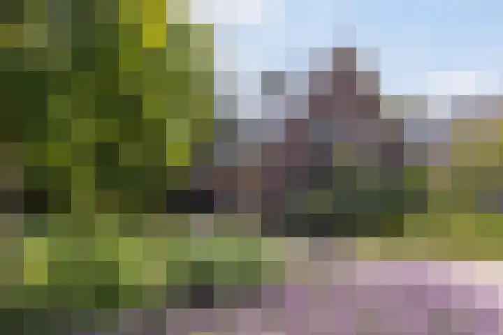 Achterlandseweg 1 Apeldoorn thumbnail 71