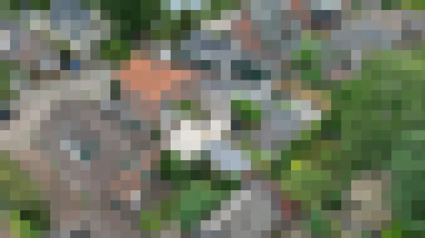 Achterlandseweg 2 A Apeldoorn thumbnail 55