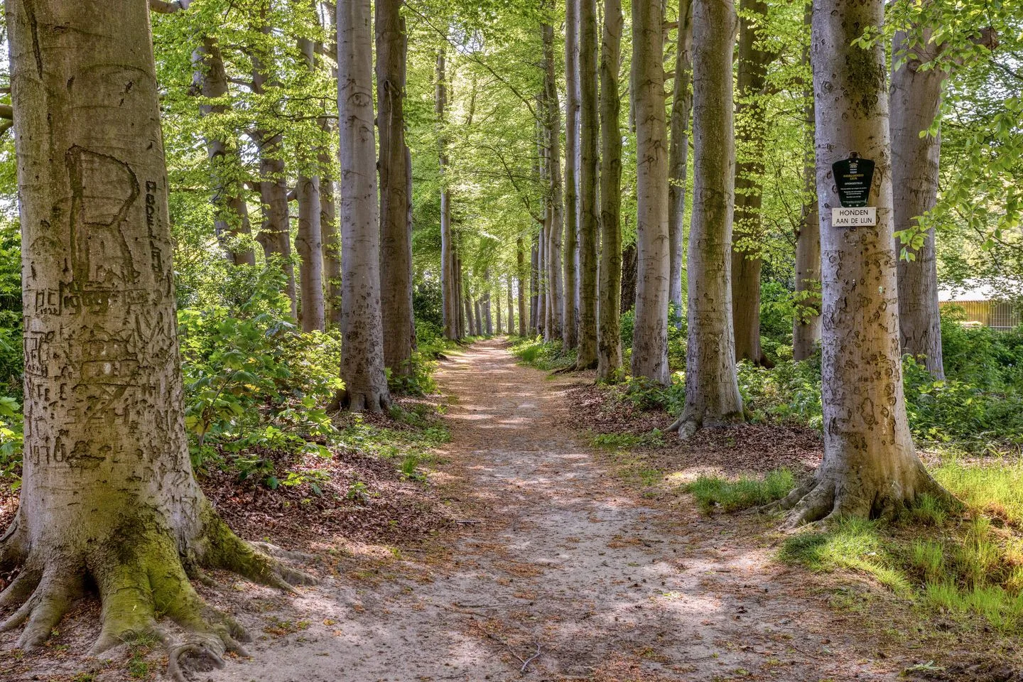Achterloseweg 41 Leur thumbnail 62