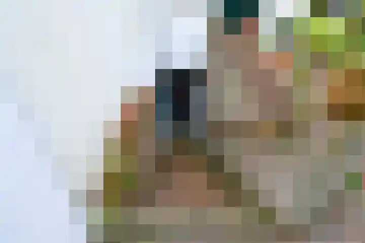 Achtermeulenlaan 1 Bussum thumbnail 20