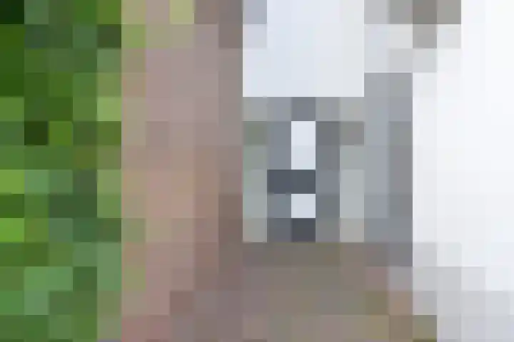 Achtermeulenlaan 2 A 1 Bussum thumbnail 4