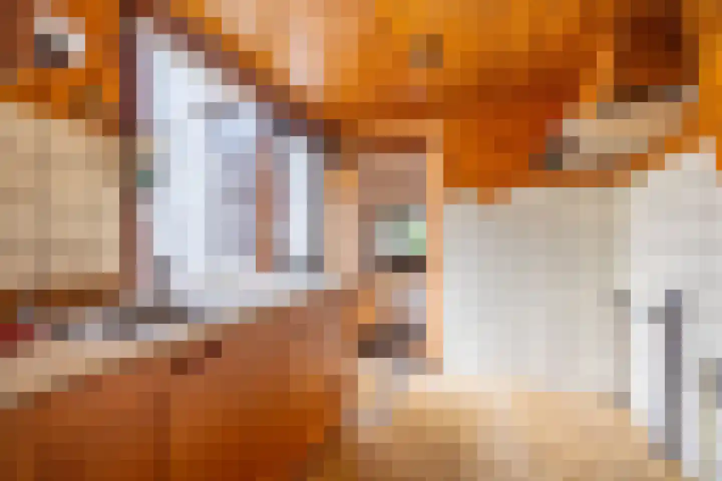 Achtermeulenlaan 22 Bussum thumbnail 18