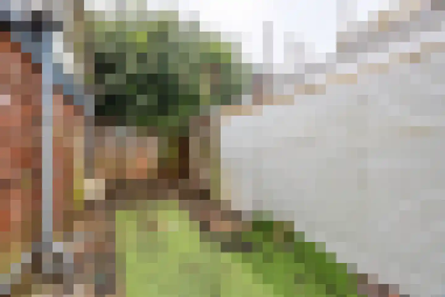 Achtermeulenlaan 22 Bussum thumbnail 22