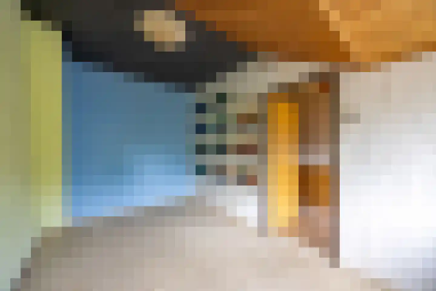 Achtermeulenlaan 22 Bussum thumbnail 32