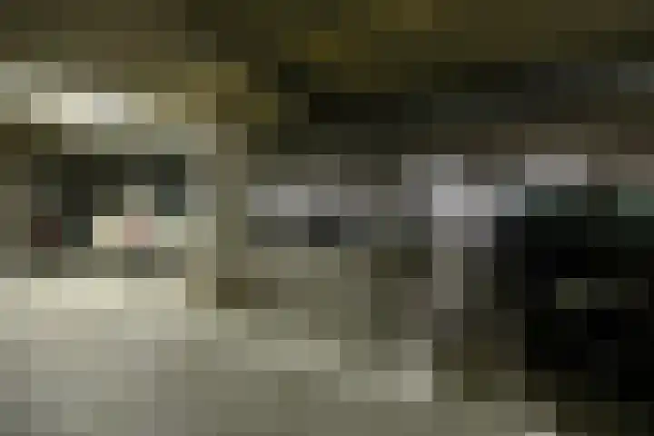 Achterom 1 A en Delft