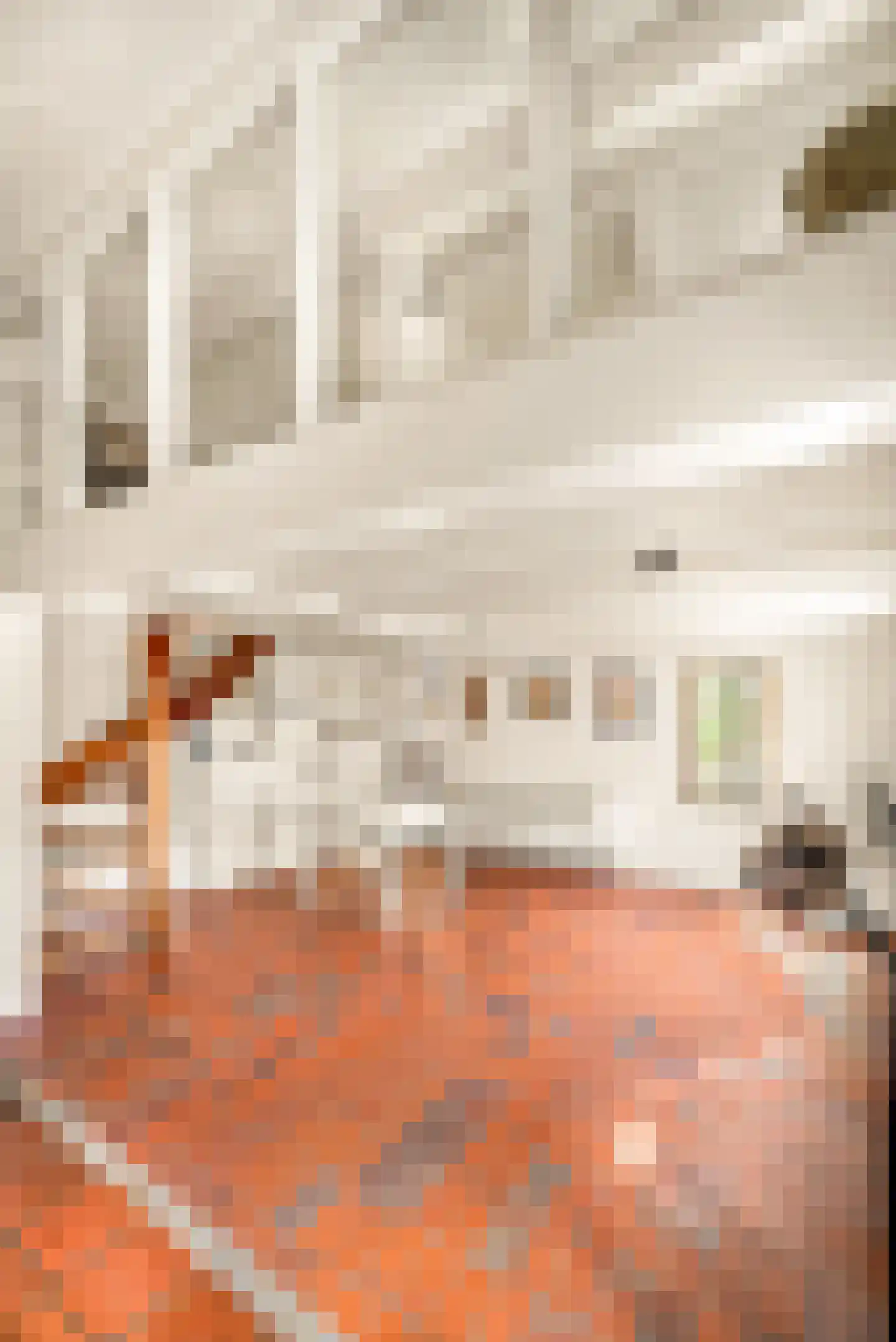 Achterom 1 a Zandvoort thumbnail 17