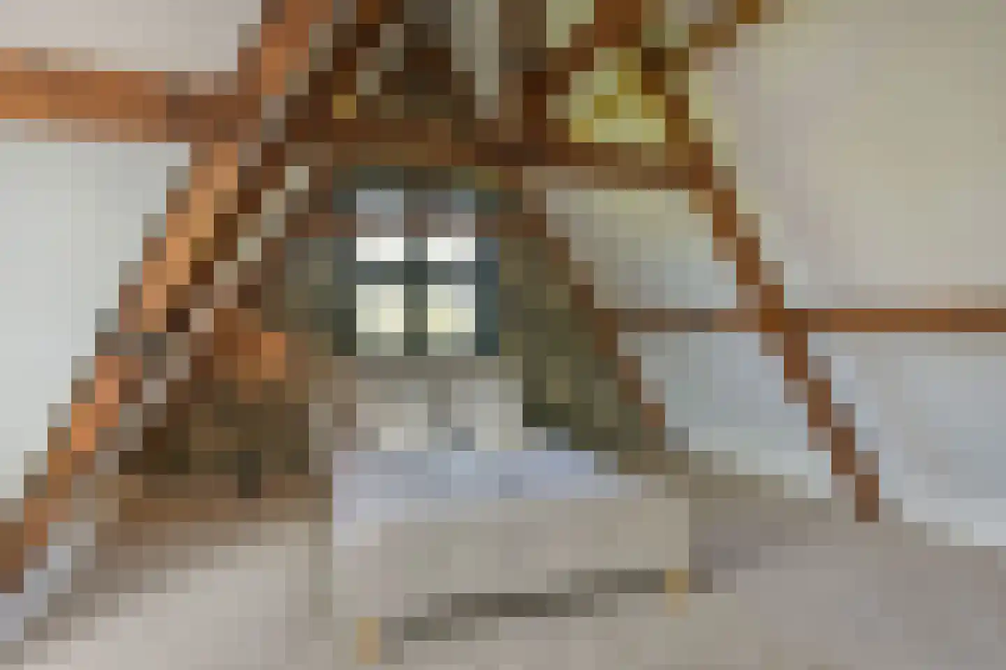 Achterom 104 Hoorn thumbnail 28