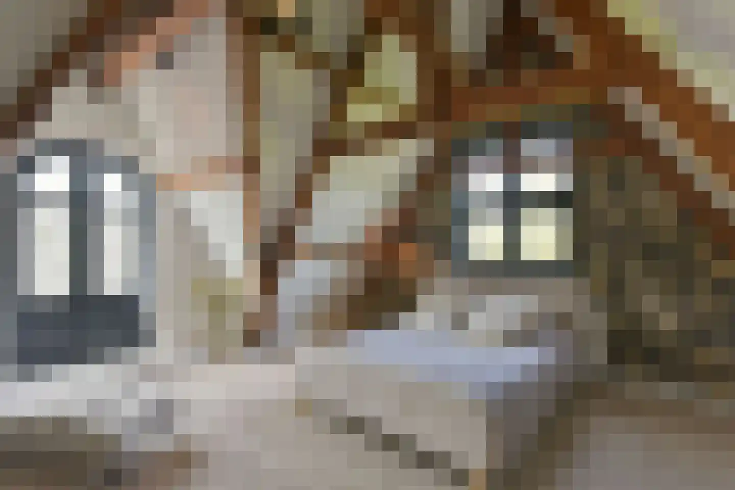 Achterom 104 Hoorn thumbnail 29