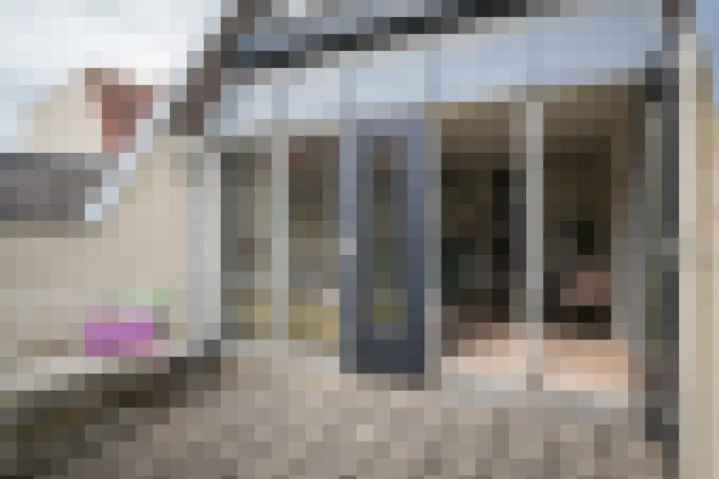 Achterom 11 Harderwijk thumbnail 15