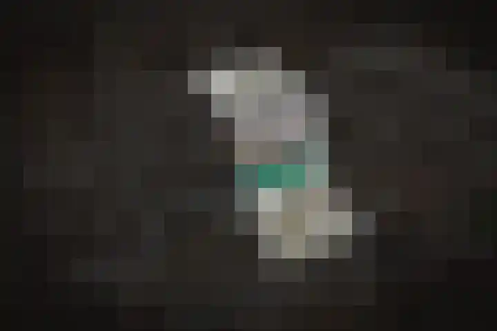 Achterom 12 Harderwijk thumbnail 25
