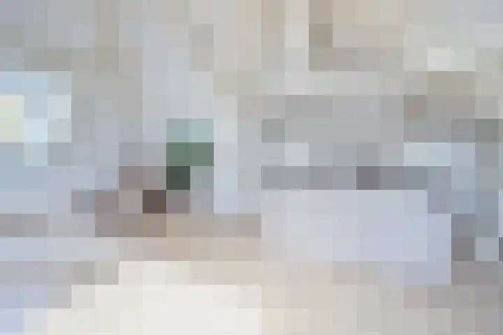 Achterom 127 C Hilversum thumbnail 12
