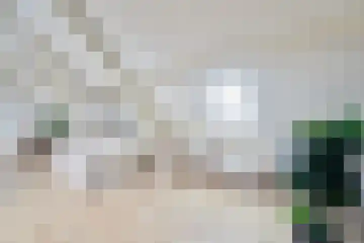 Achterom 127 C Hilversum thumbnail 13