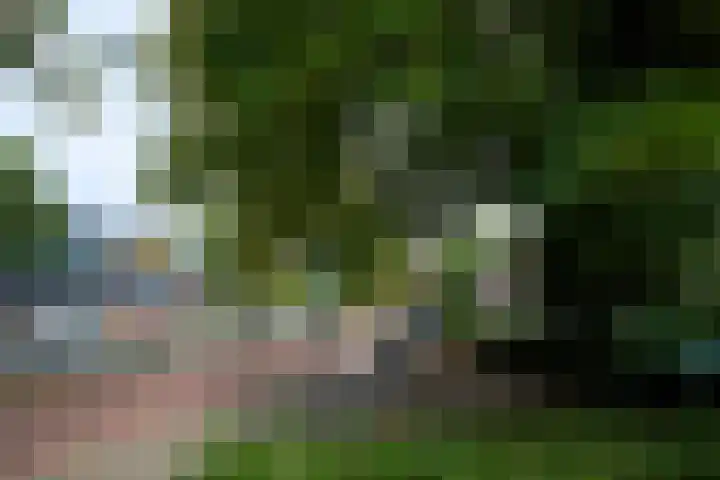 Achterom 127 C Hilversum thumbnail 29