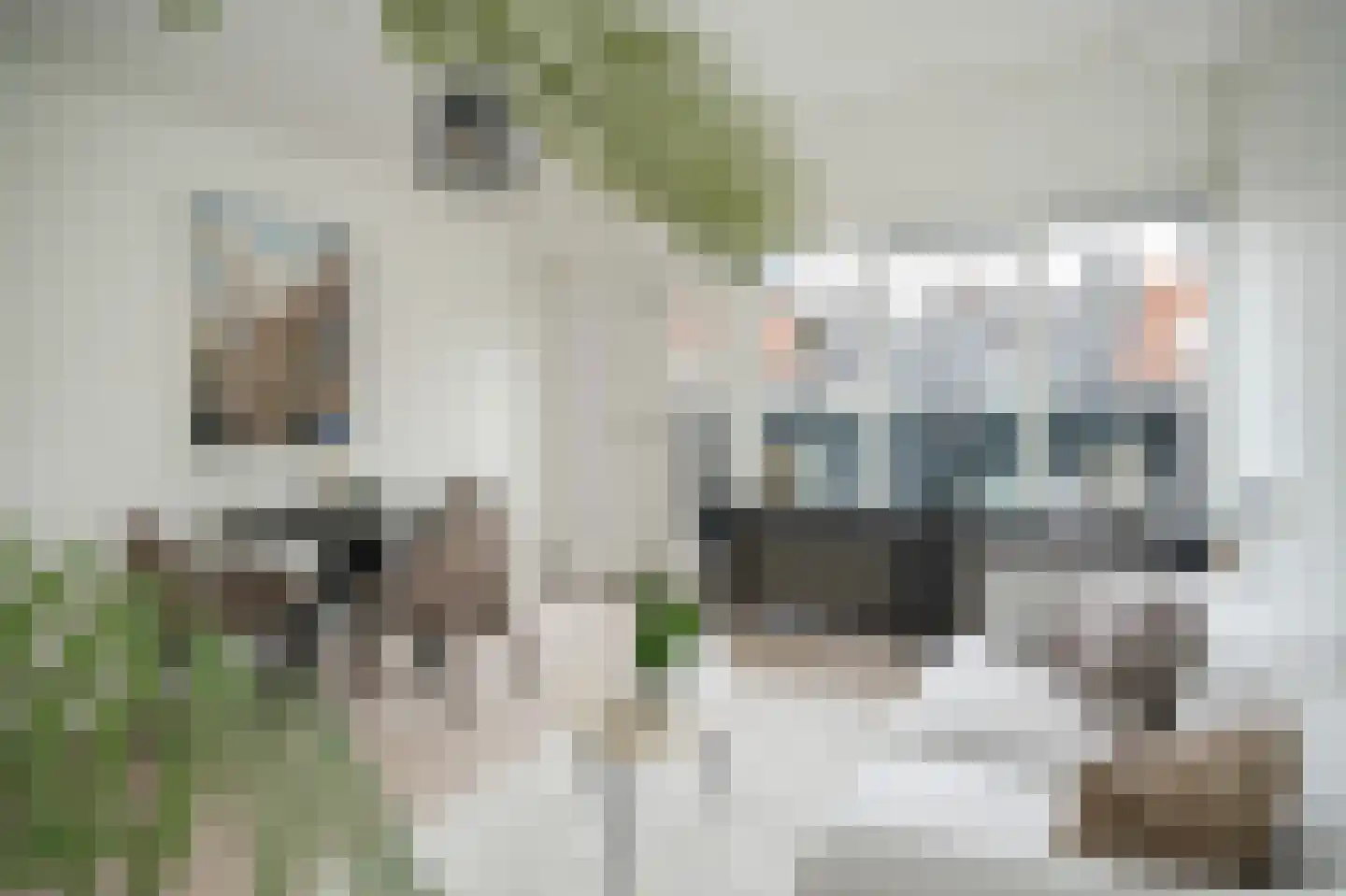 Achterom 13 Harderwijk thumbnail 6