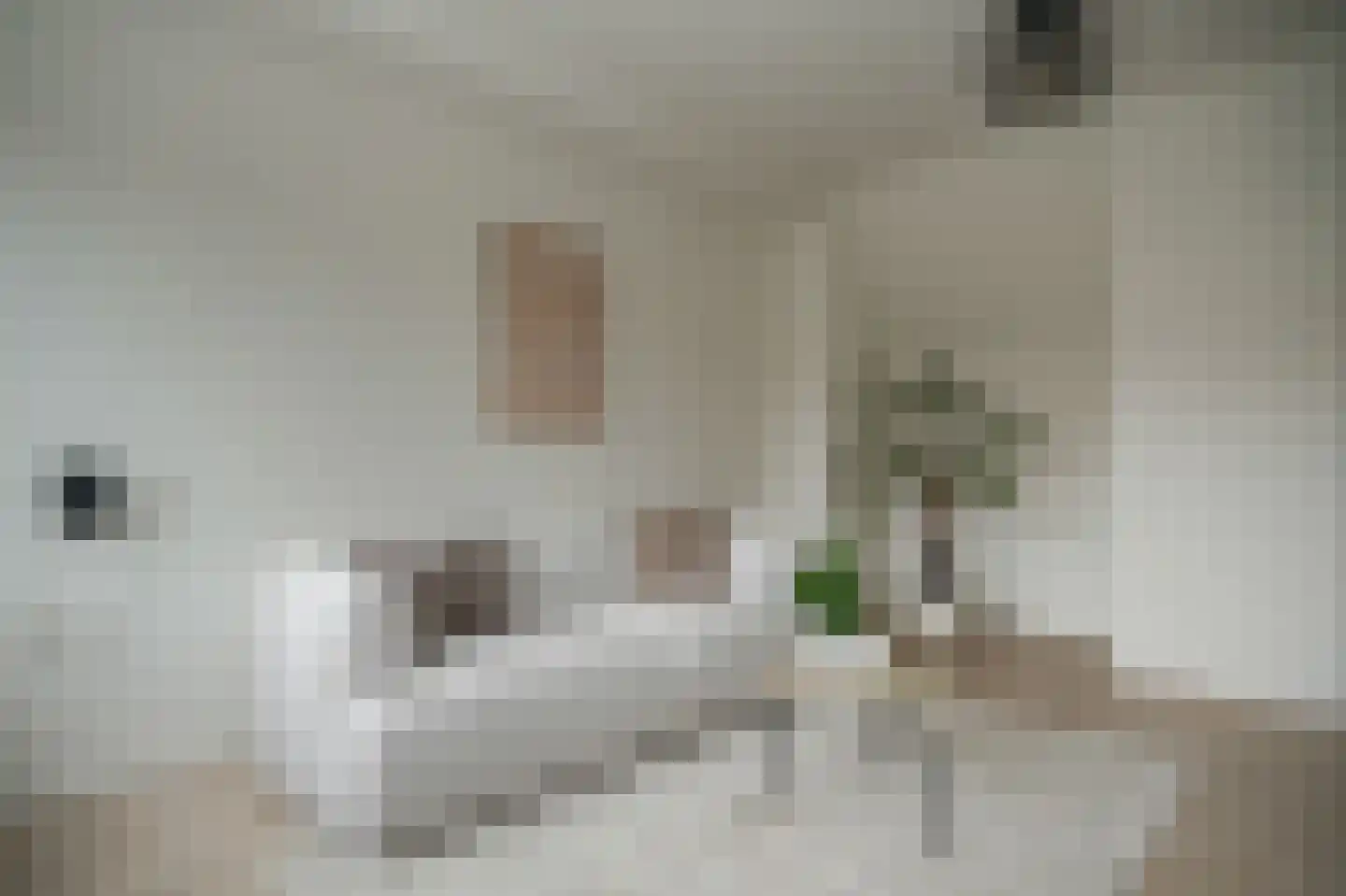 Achterom 13 Harderwijk thumbnail 8