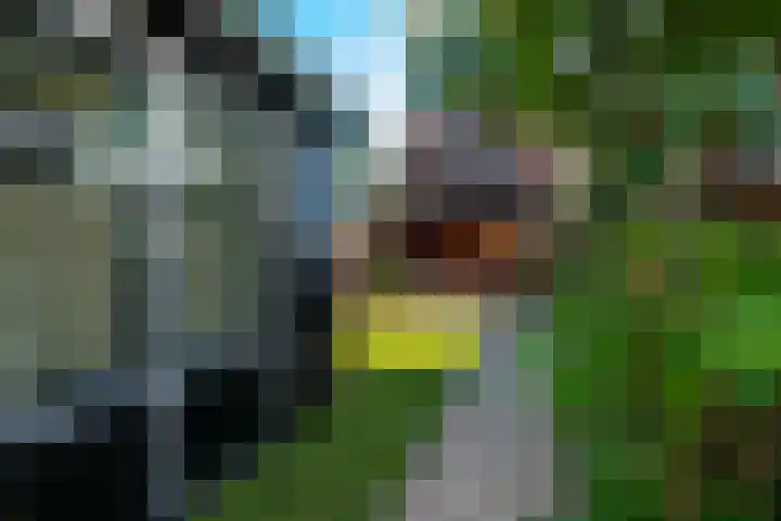 Achterom 135 Hilversum thumbnail 27