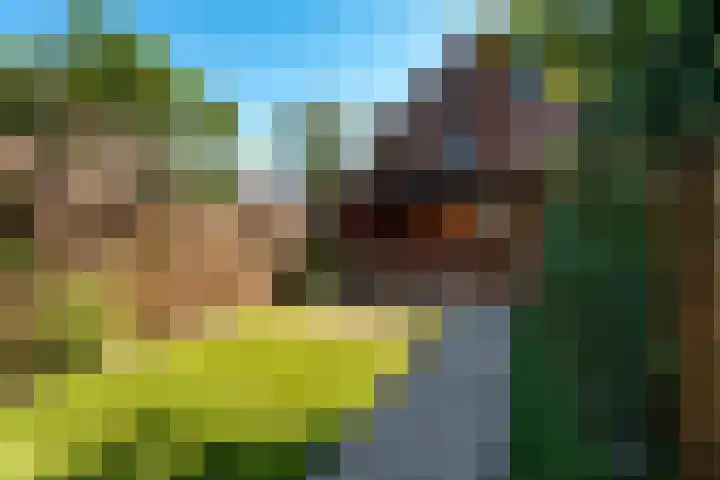 Achterom 135 Hilversum thumbnail 28