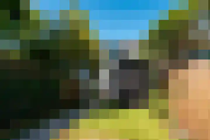 Achterom 135 Hilversum thumbnail 33