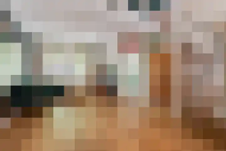Achterom 135 Hilversum thumbnail 6