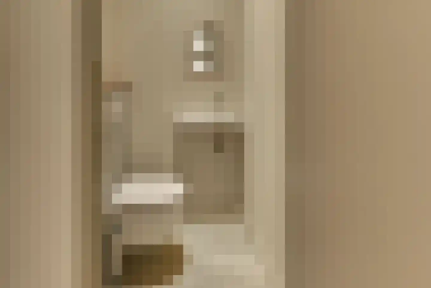 Achterom 14 Harderwijk thumbnail 9