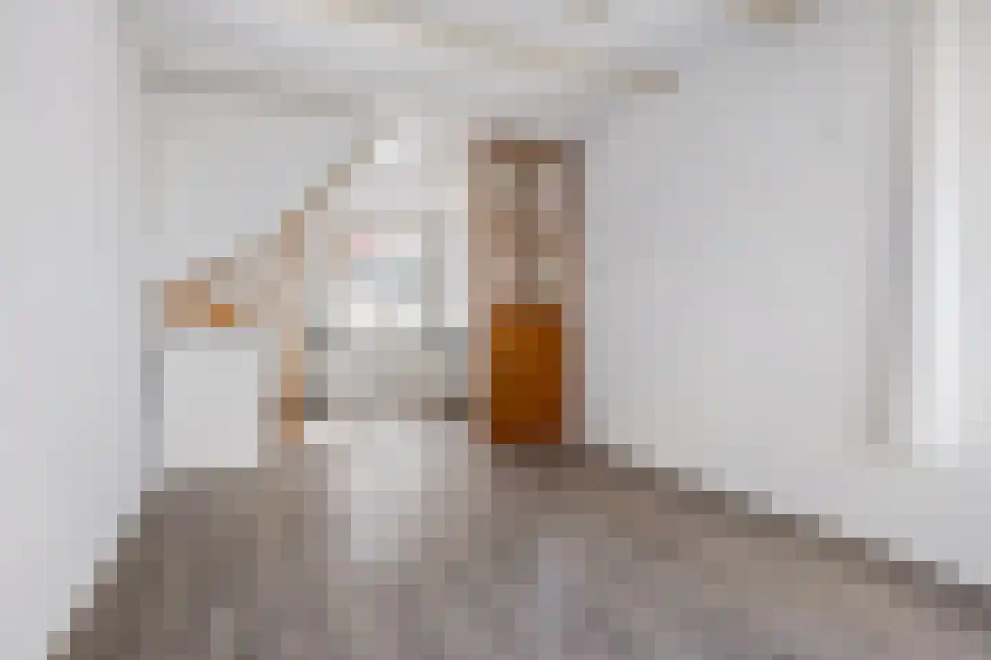 Achterom 16 Aldeboarn thumbnail 11