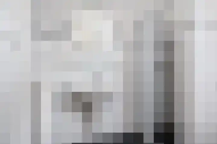 Achterom 16 Aldeboarn thumbnail 17