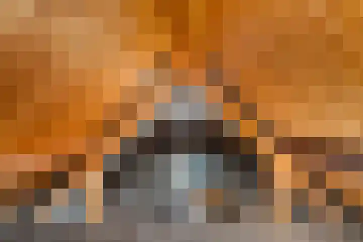 Achterom 16 Aldeboarn thumbnail 29