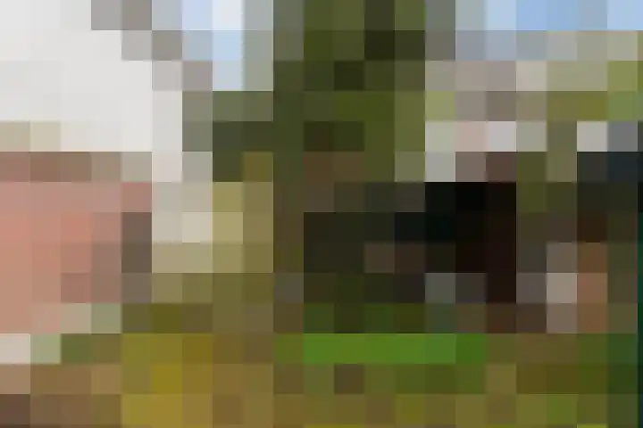 Achterom 175 Hilversum thumbnail 15