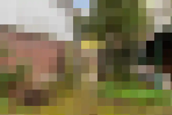 Achterom 175 Hilversum thumbnail 16