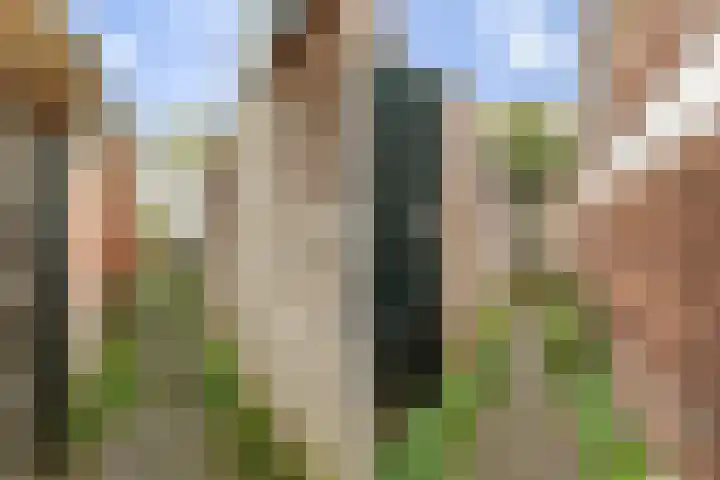 Achterom 175 Hilversum thumbnail 18