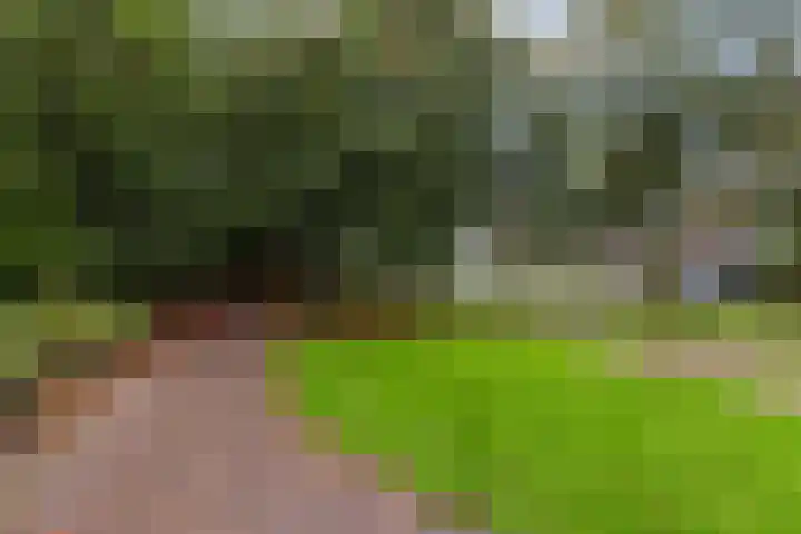 Achterom 175 Hilversum thumbnail 19