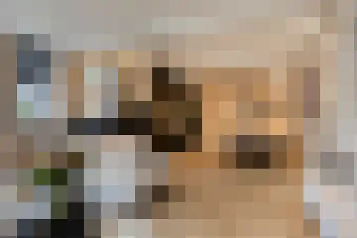 Achterom 20 in Vlaardingen