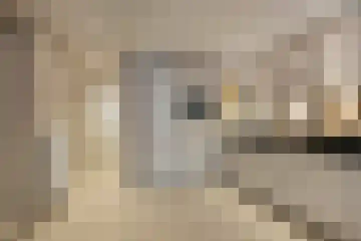 Achterom 20 Vlaardingen thumbnail 17