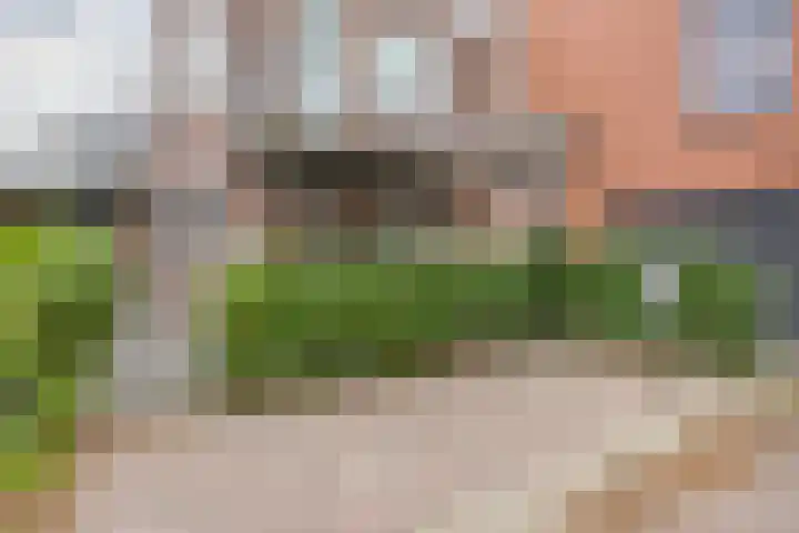 Achterom 20 Vlaardingen thumbnail 36