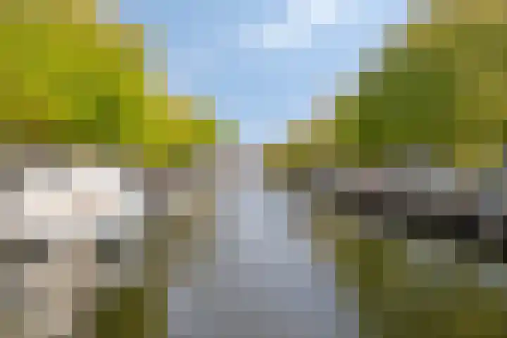 Achterom 20 Vlaardingen thumbnail 38