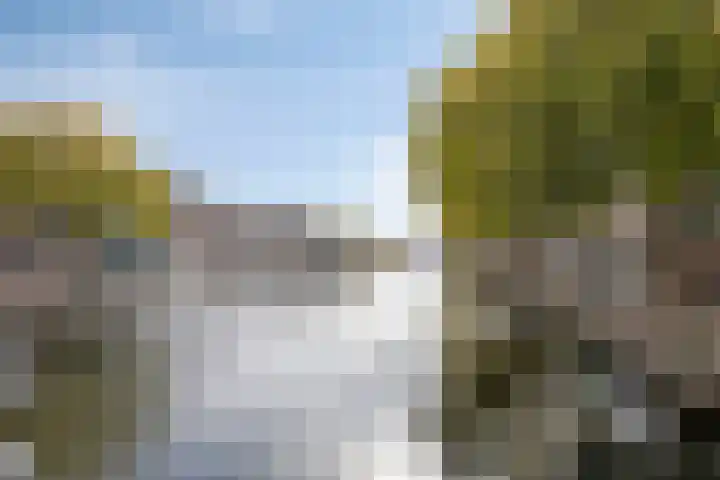 Achterom 20 Vlaardingen thumbnail 39