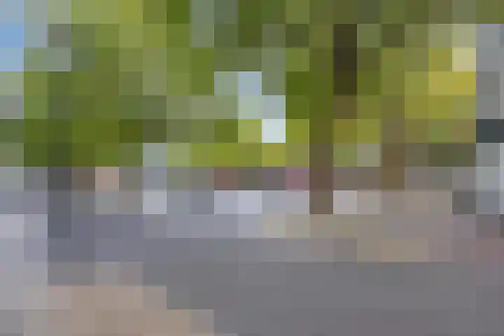 Achterom 20 Vlaardingen thumbnail 41