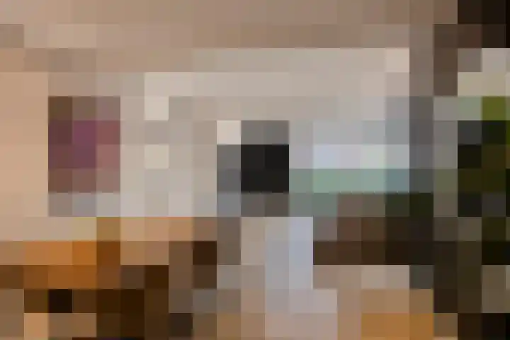 Achterom 20 Vlaardingen thumbnail 9