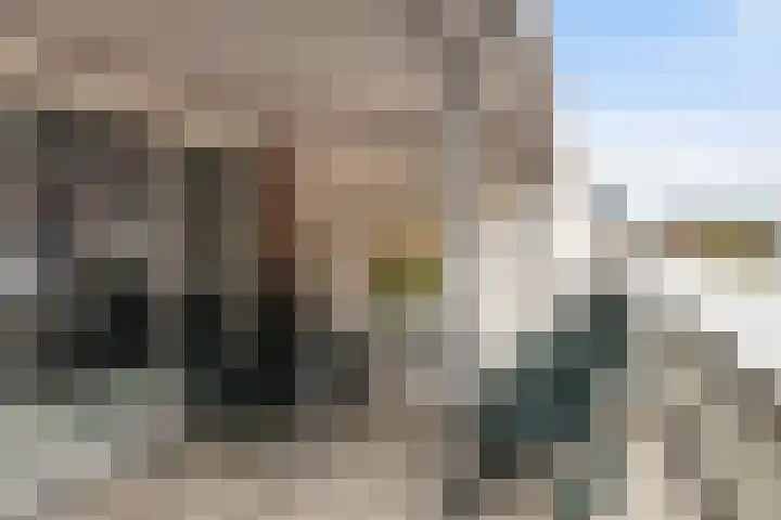 Achterom 23 Dordrecht thumbnail 4