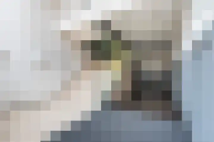 Achterom 23 Dordrecht thumbnail 6