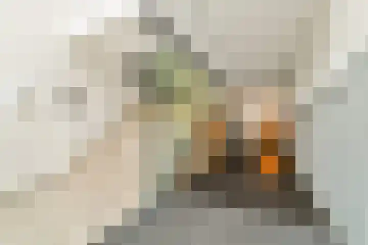 Achterom 25 Dordrecht thumbnail 8