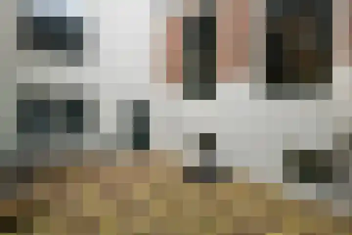 Achterom 3 A Hoorn thumbnail 10