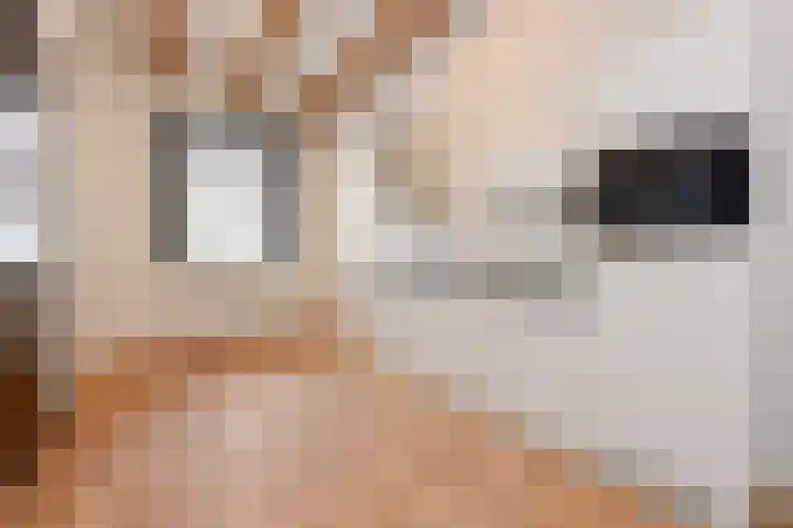Achterom 3 A Hoorn thumbnail 4