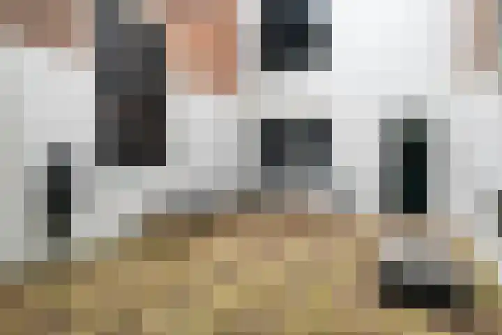 Achterom 3 A Hoorn thumbnail 9
