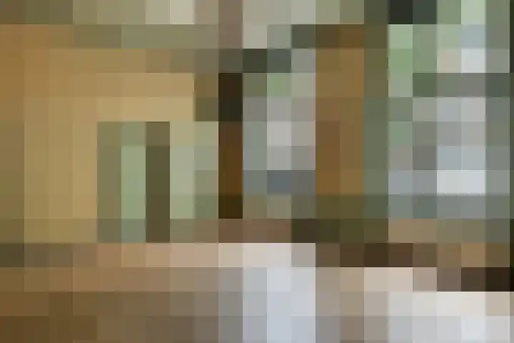 Achterom 3 D Hoorn thumbnail 6
