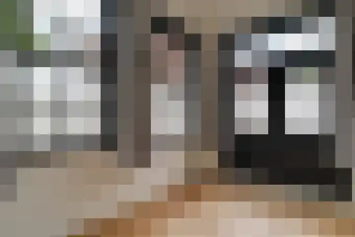 Achterom 3 Hoorn thumbnail 12
