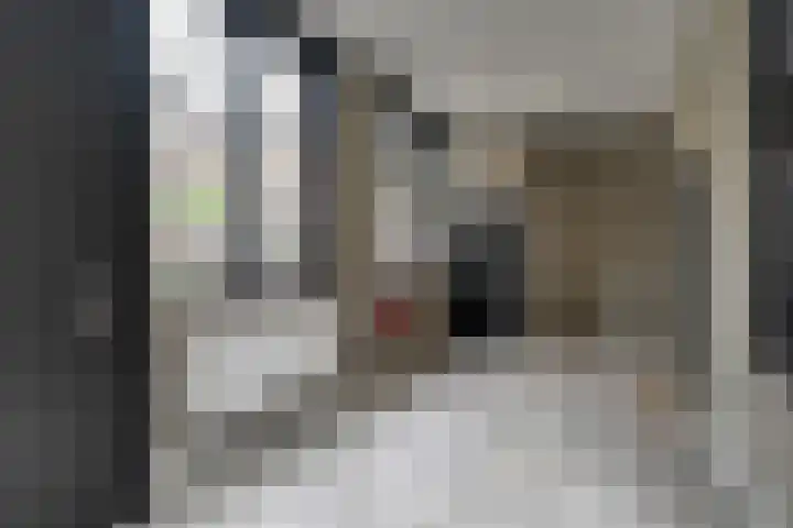Achterom 3 Hoorn thumbnail 20