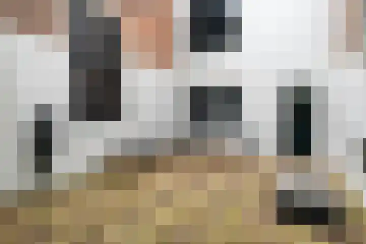 Achterom 3 Hoorn thumbnail 23